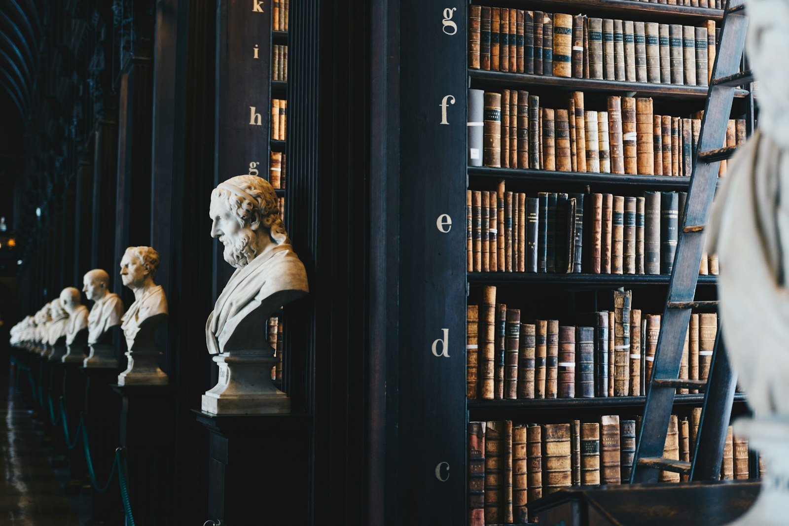 Books - law firm photo